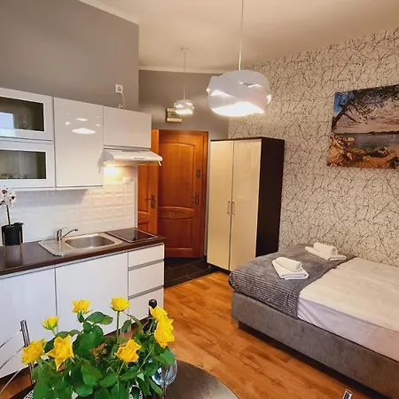 Nr 1 Z Balkonem, Nr 7 Z Tarasem, Wilcza Przy Szlaku Apartament *